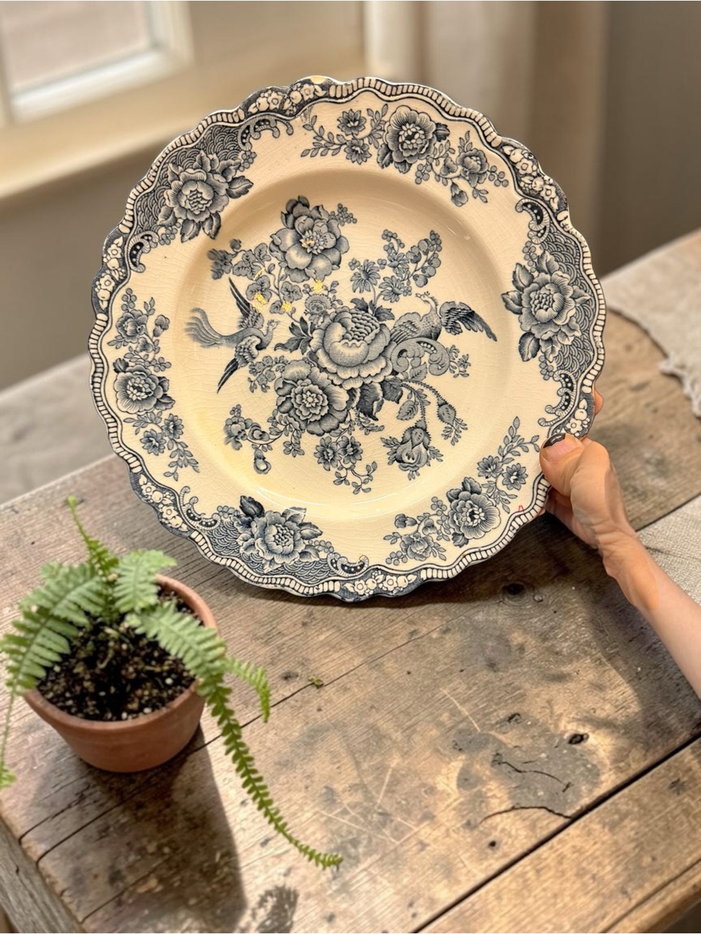 Vintage Crown Ducal Bristol Grey Asiatic Pheasants transferware plate.